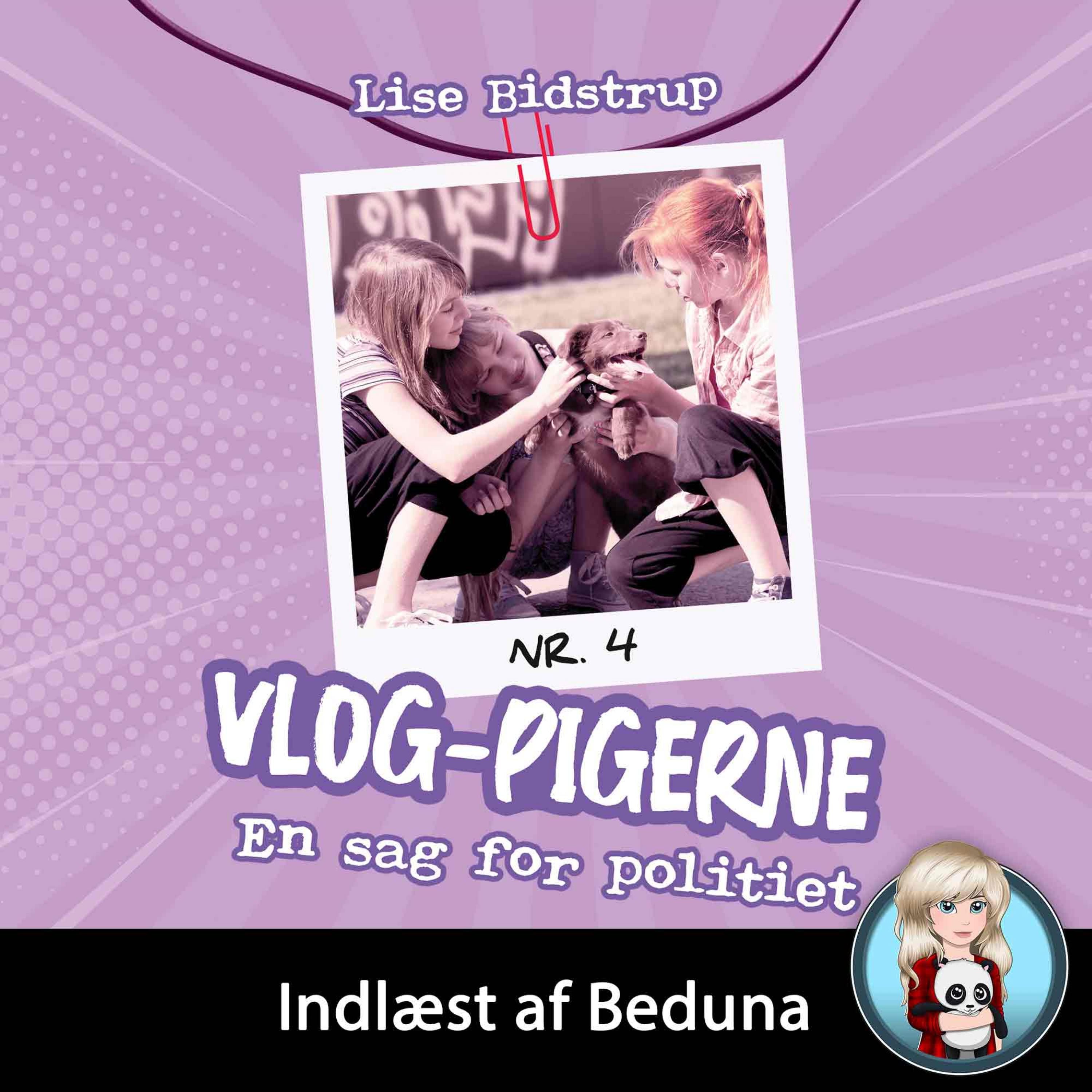 Forside billede
